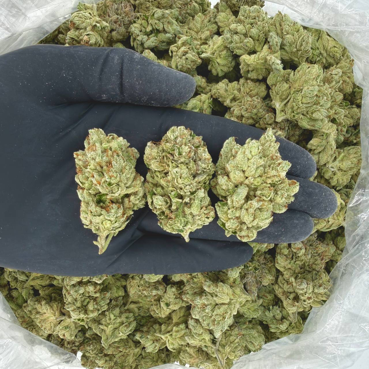 Reaper Reserve