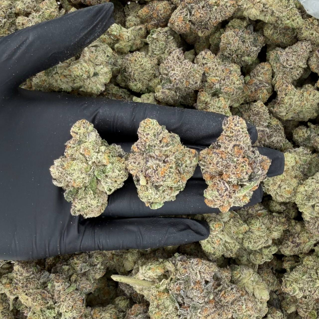 Pineapple Crush