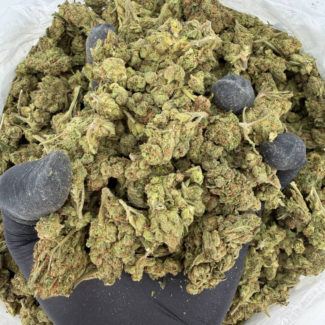 Guava Runtz