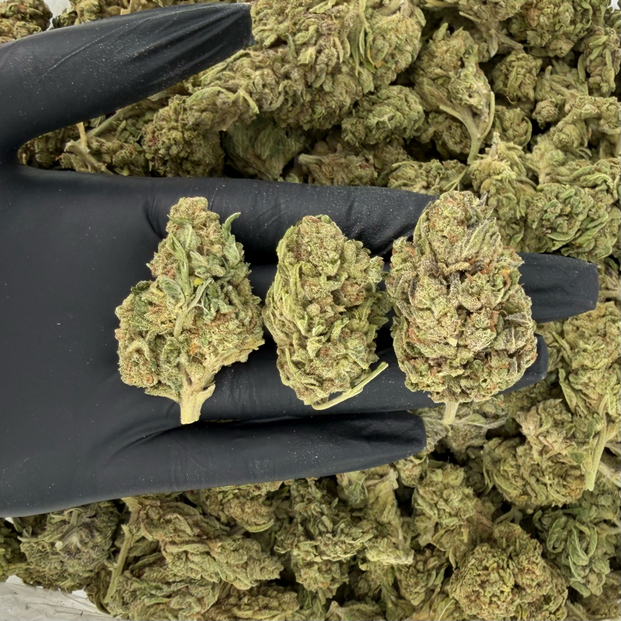Larry OG