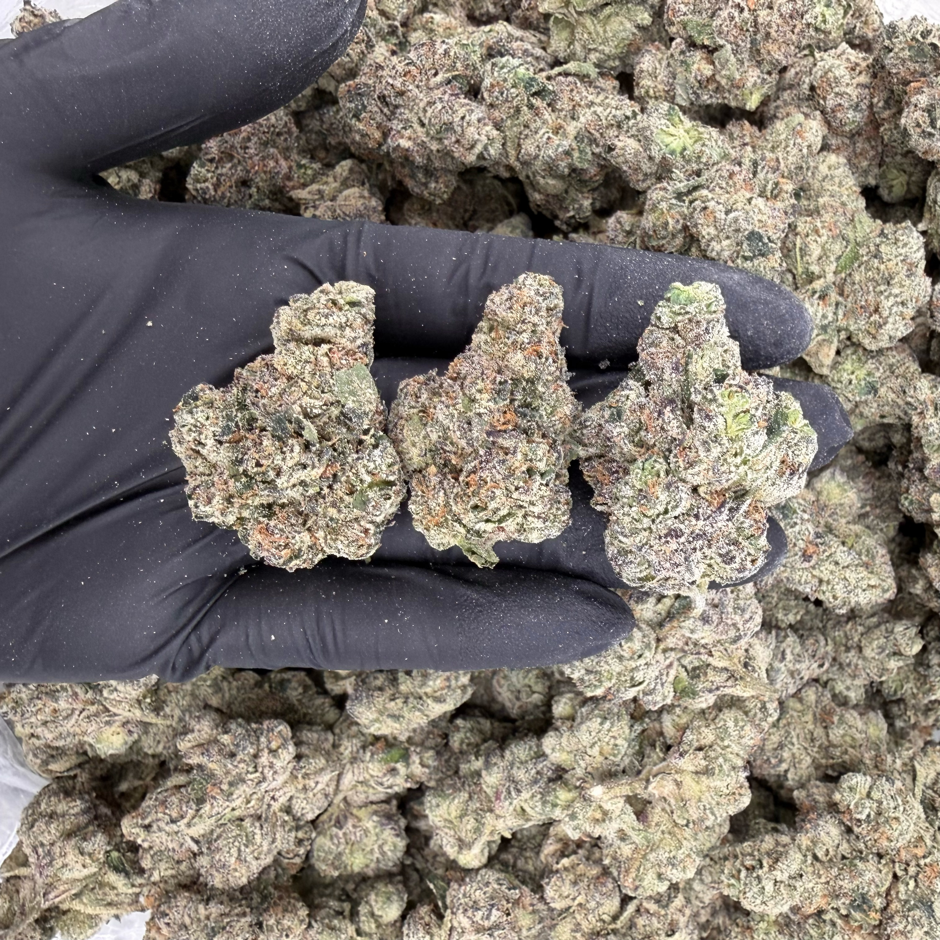Gelato Candy