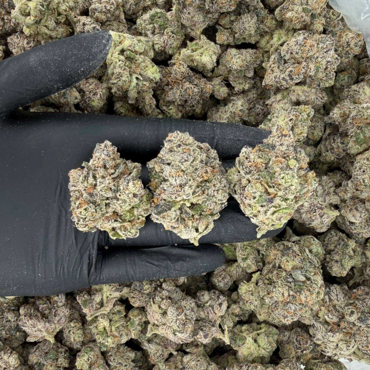 Peanut Butter Gelato